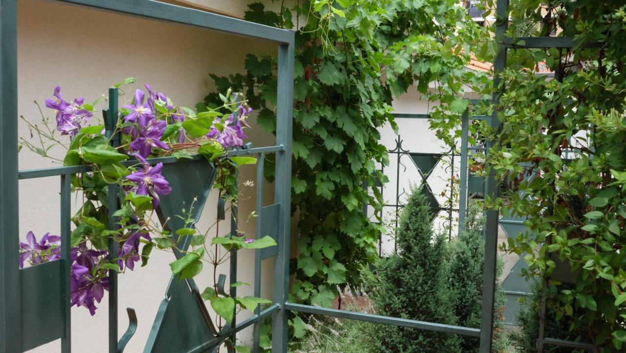 Kompleks Apartmana Superstar23A Soko Banja Εξωτερικό φωτογραφία